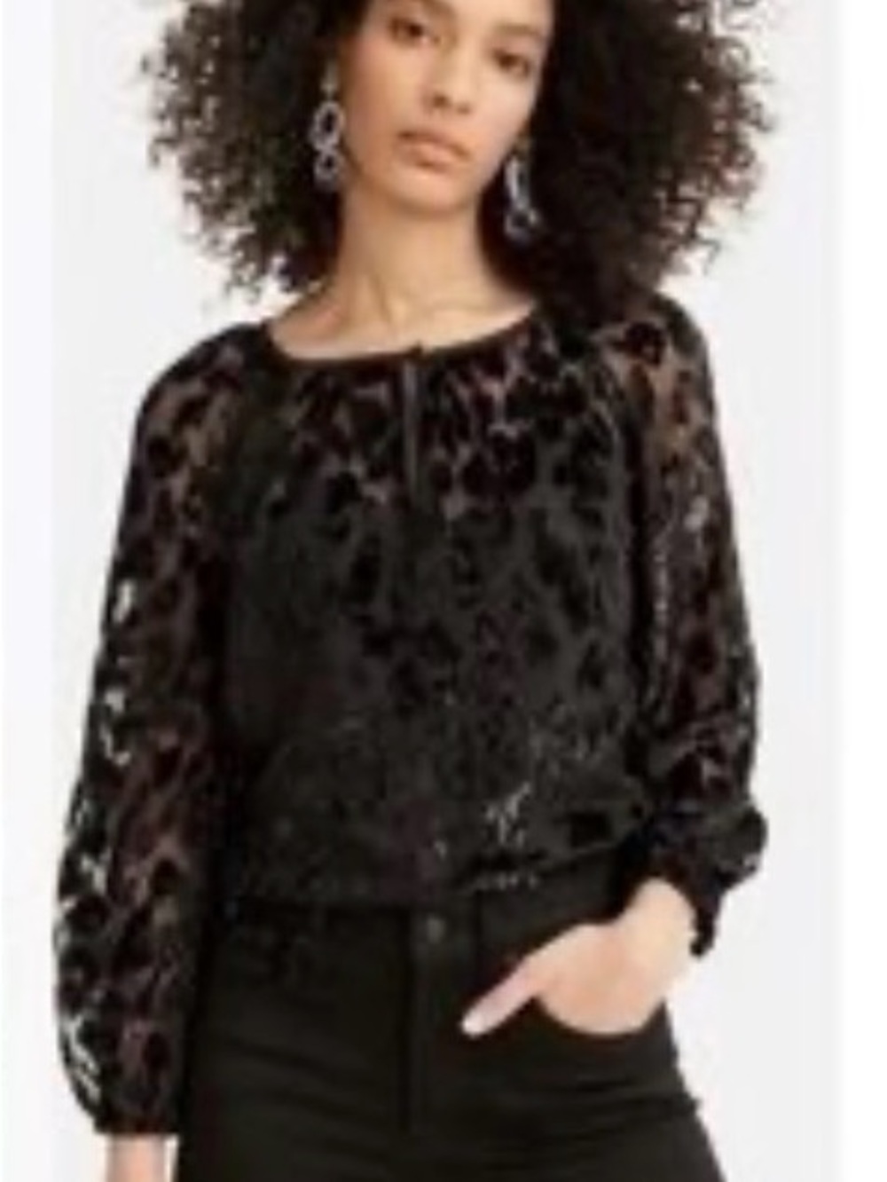 J. Crew Black Leopard Velvet Burnout Blouse
